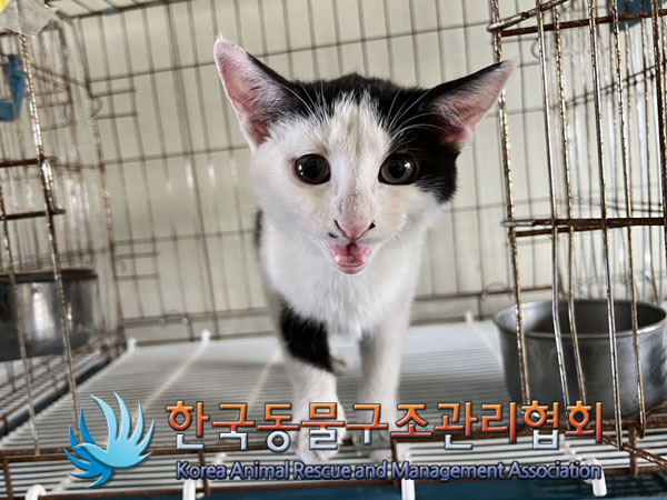 종료(자연사) 한국…